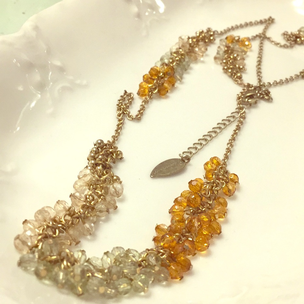 Coldwater Creek Long Beaded Cluster Necklace